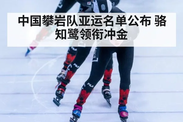中国攀岩队亚运名单公布 骆知鹭领衔冲金